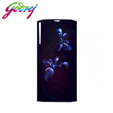 Godrej Single Door Refrigerator 192Ltr